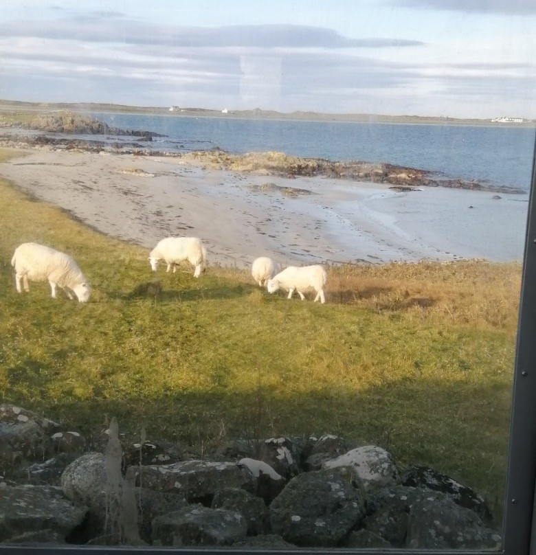 Rockvale Guest House主图