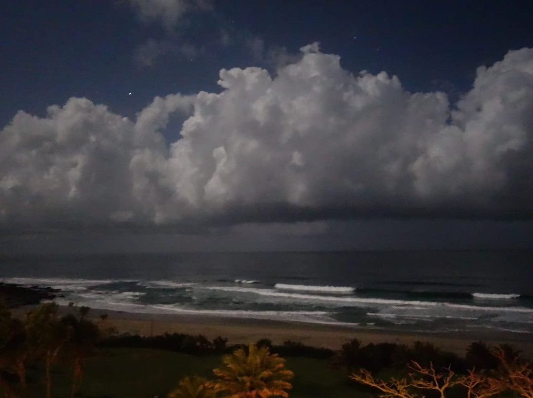 Wild Coast Sun主图