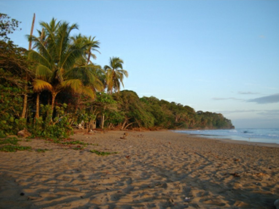 Playa Negra景点图片