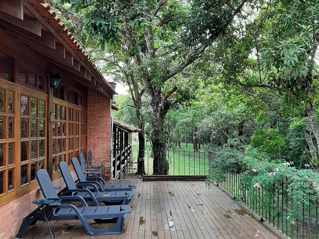 Bosque da Neblina主图