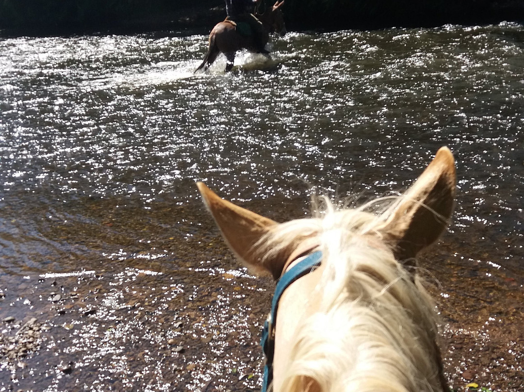 Cavalgadas Urubici-Urubici必去景点