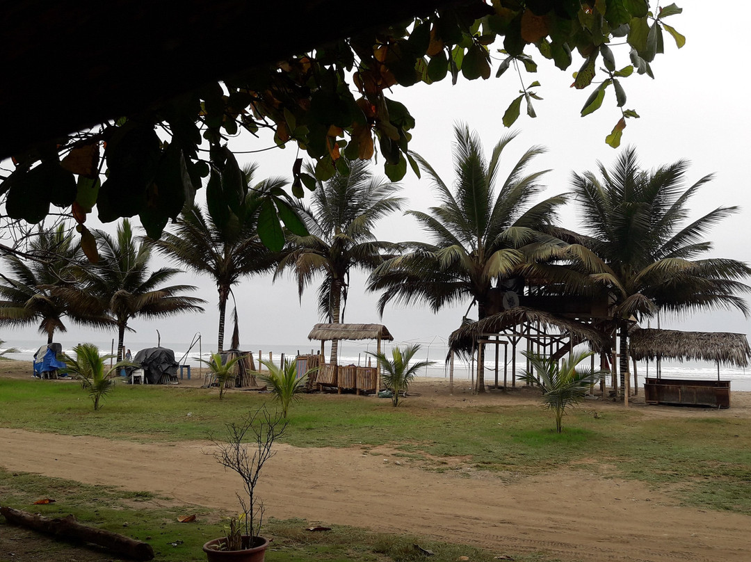 Hostal The Sea Garden House主图