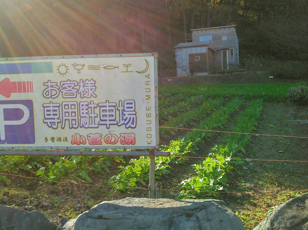 Michi-no-Eki Kosuge景点图片