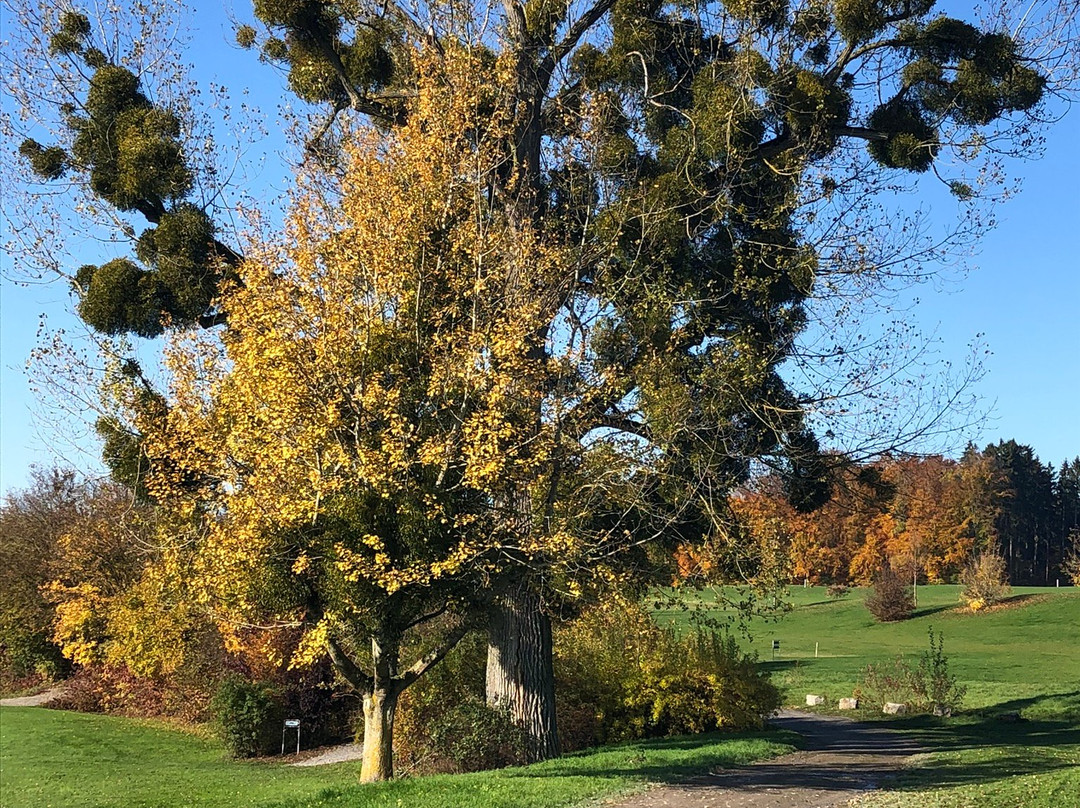 Wald & Schlosshotel Friedrichsruhe主图