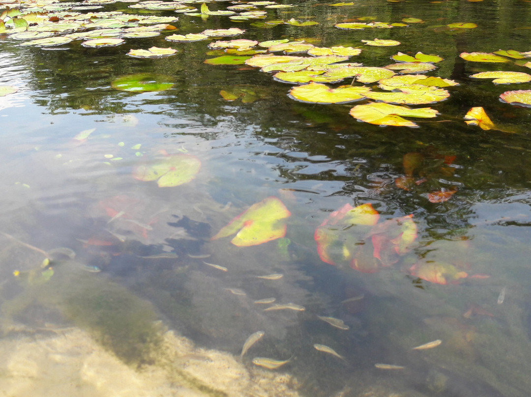 Praia de Aramanai-Belterra必去景点