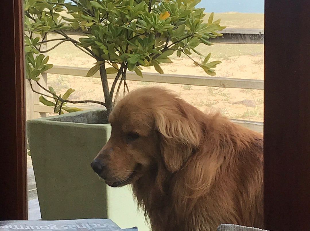 Chez Silvia Bistro Suite Cabanas主图