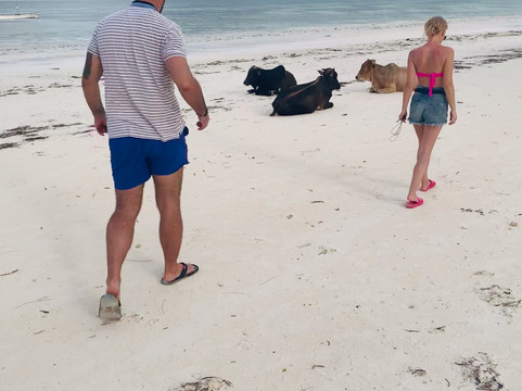 Surfescape Beachfront Apartments主图