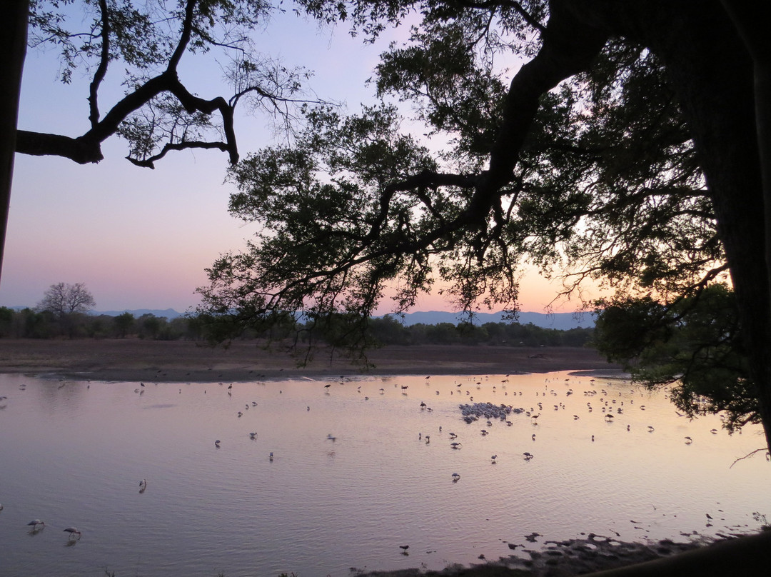 Chindeni Bushcamp - The Bushcamp Company主图