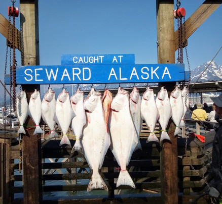 Alaska Coastal Explorer-苏厄德必去景点