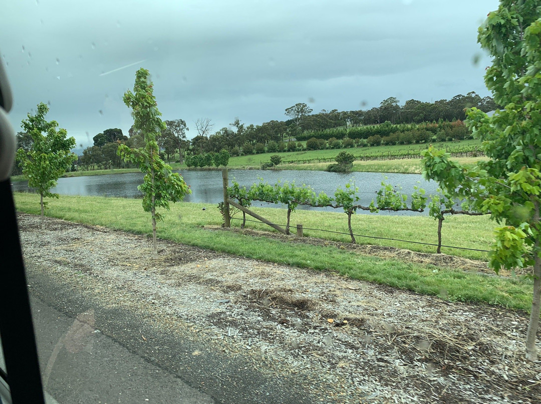 Winebus Winery Tours-墨尔本必去景点