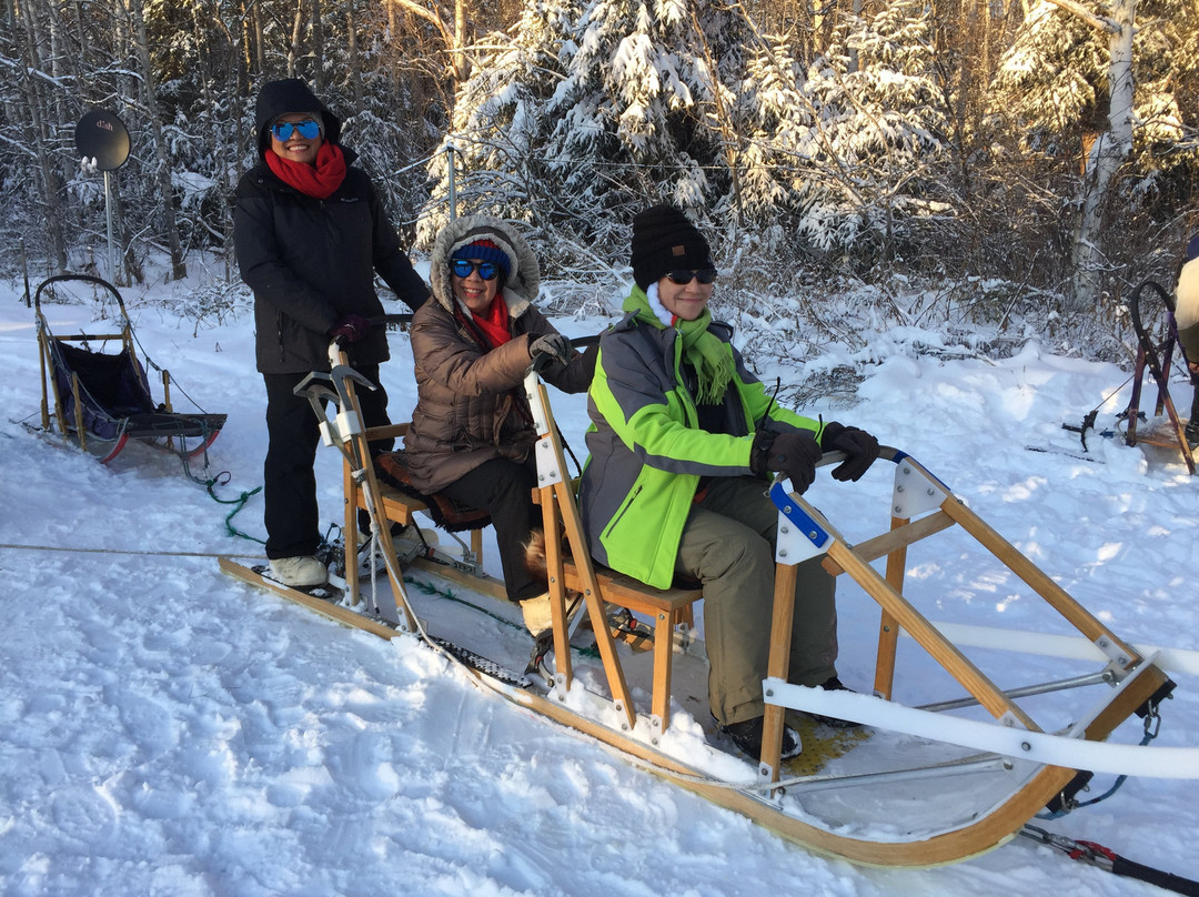 Bill Cotter Kennels-Nenana必去景点