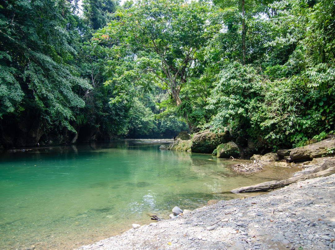 Sumatra Orangutan Tour-棉兰必去景点