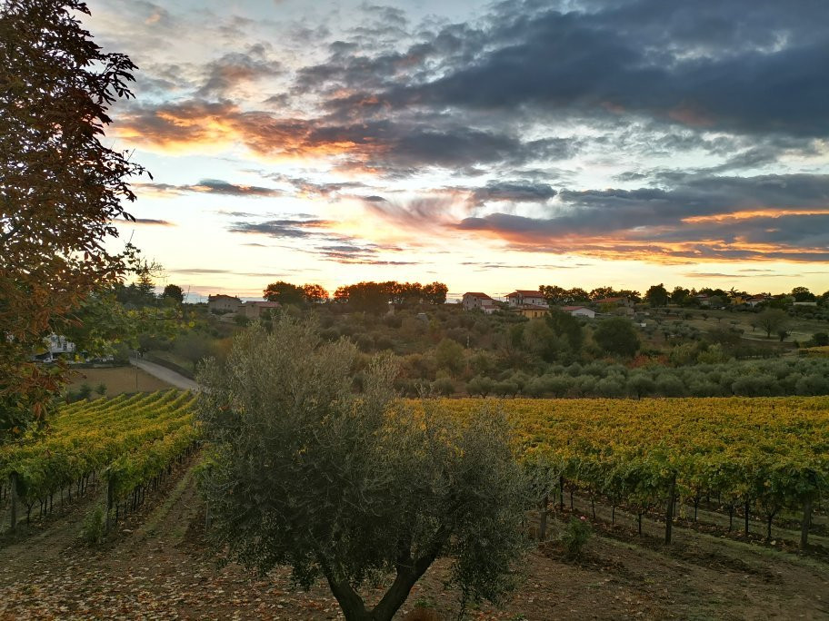 Agriturismo Angelucci主图