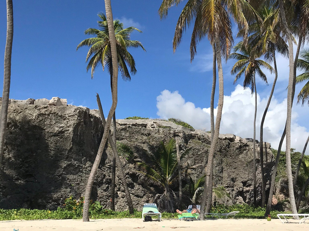 Hummingbird House主图