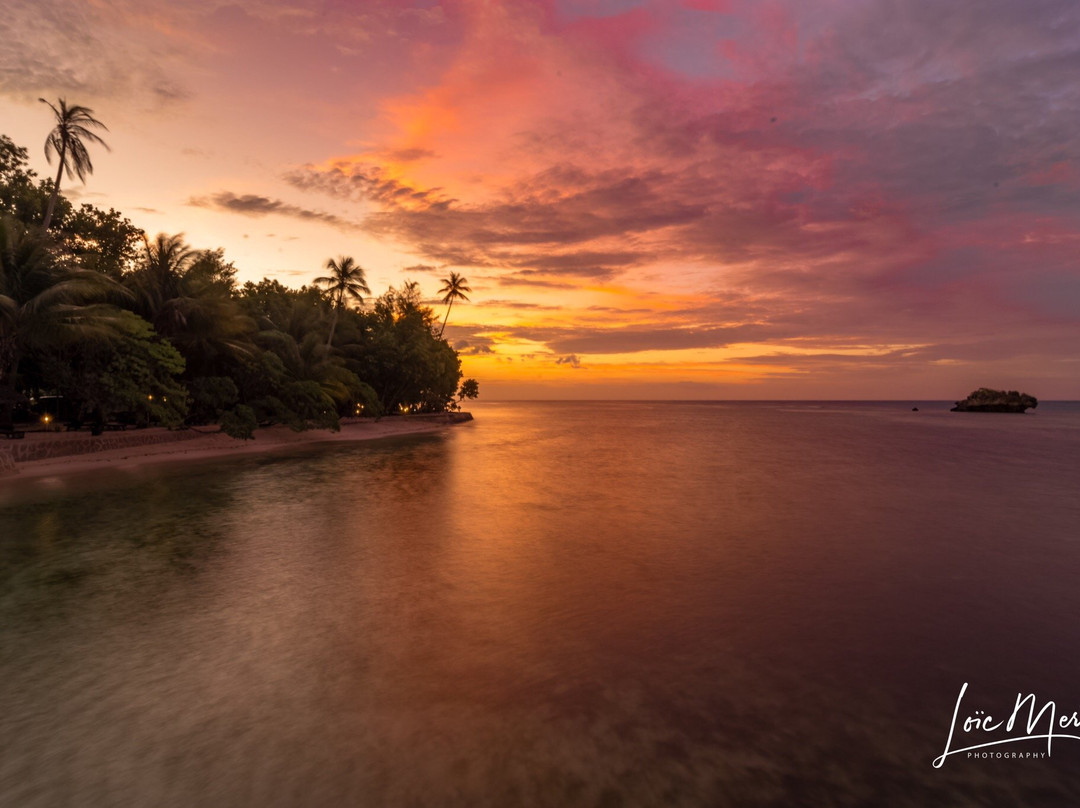 Sulawesi Dive Trek景点图片