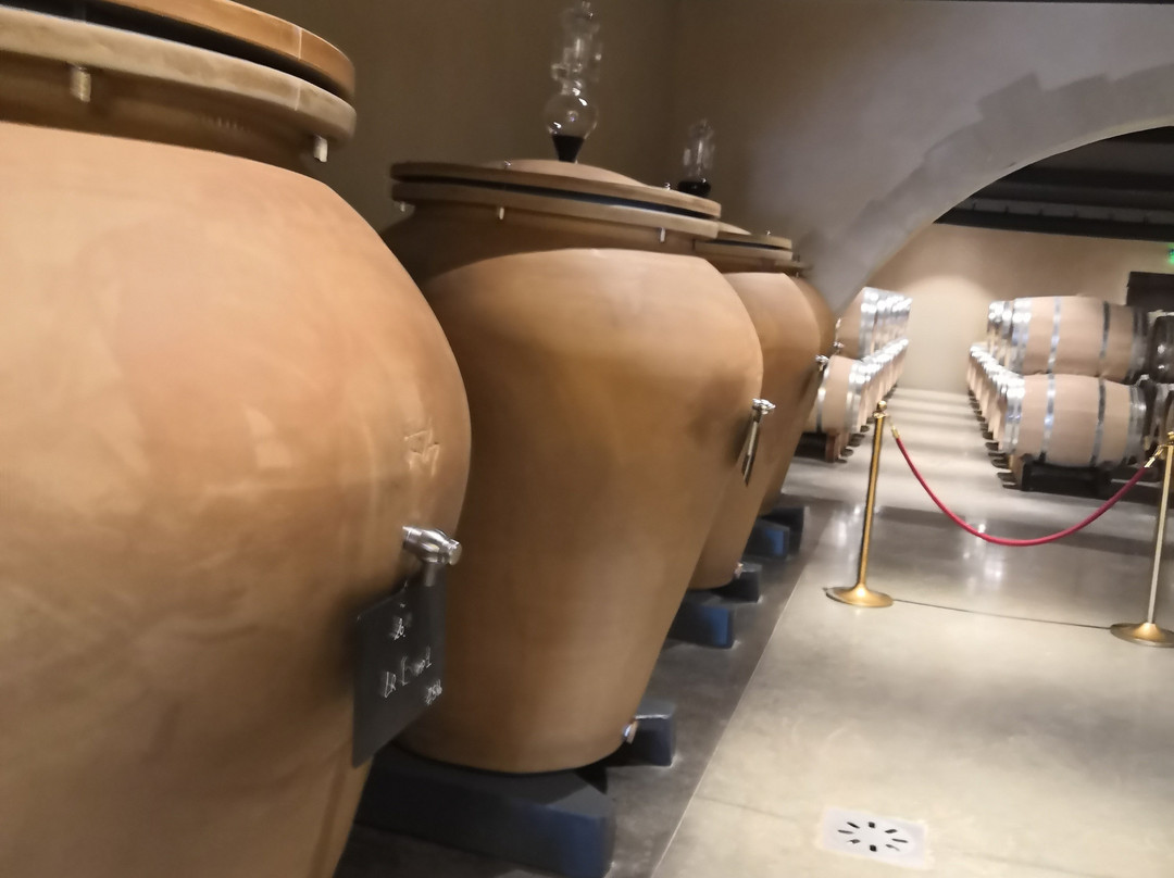 Bella Wine Tours-波尔多必去景点