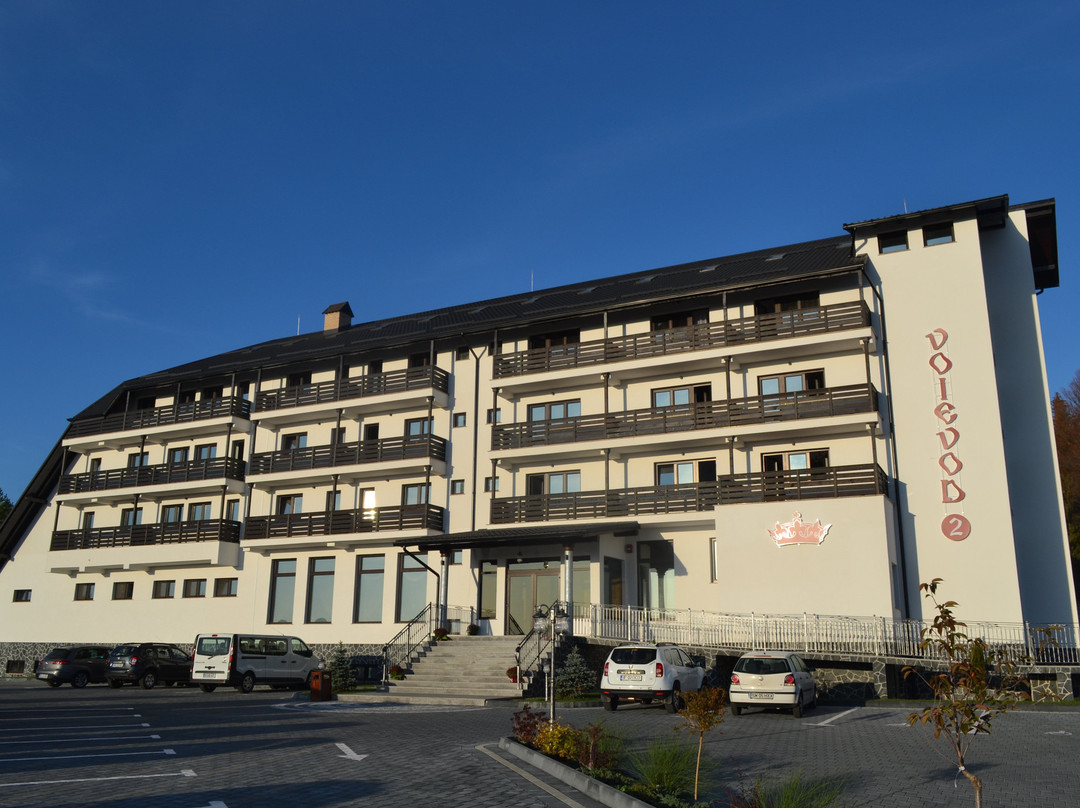 Hotel Voievod主图