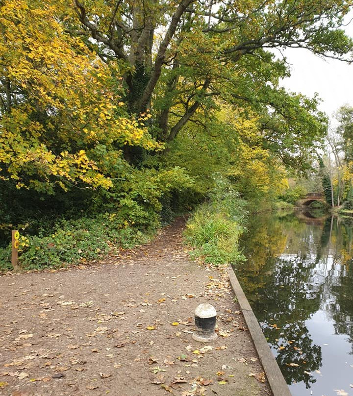 Frimley Lodge Park景点图片