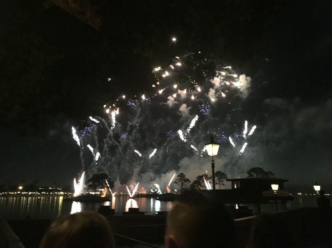 IllumiNations: Reflections of Earth-奥兰多必去景点