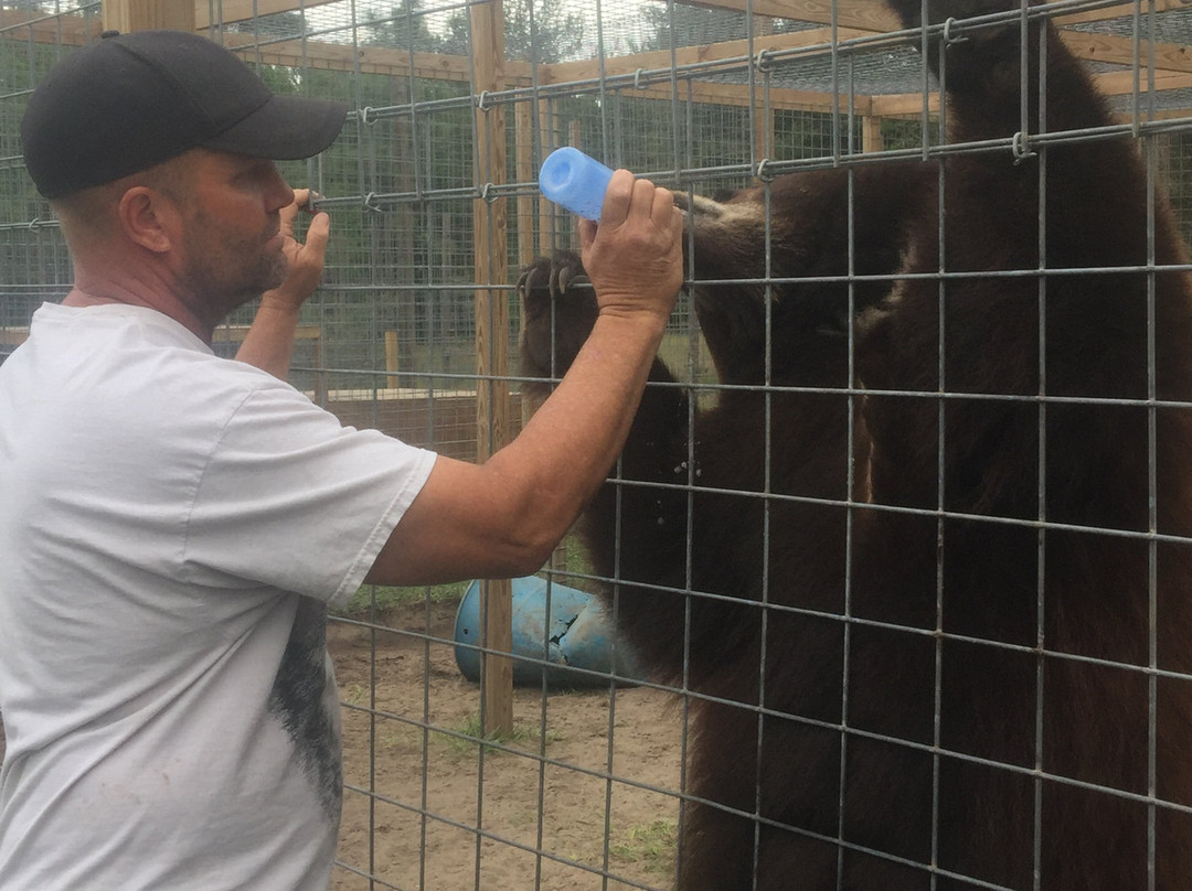 Single Vision Inc.-Melrose必去景点