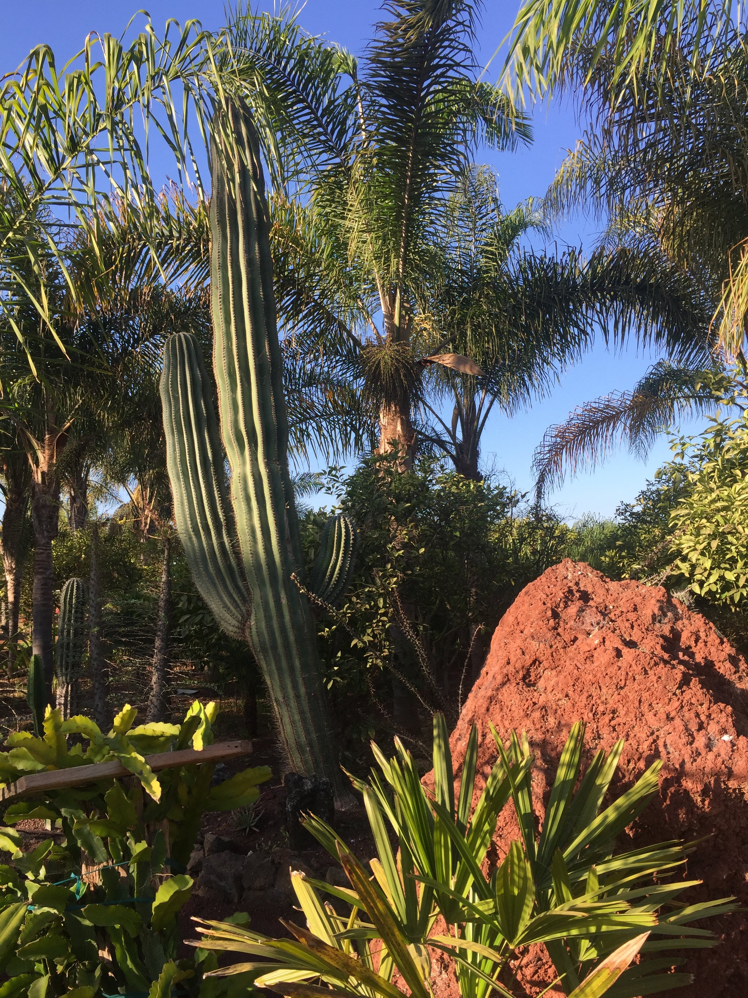 Hotel Jardines Baja-官方