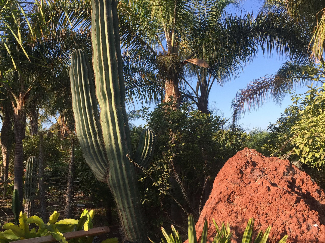 Hotel Jardines Baja主图