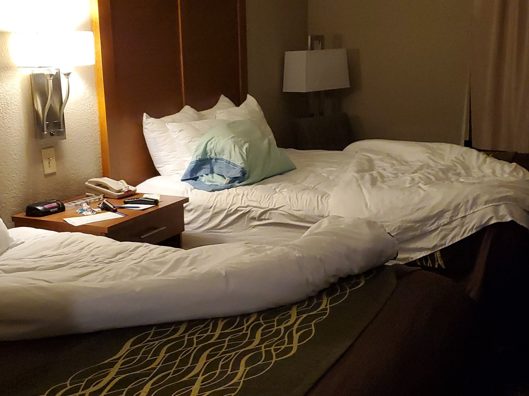 Comfort Inn & Suites Las Cruces Mesilla主图