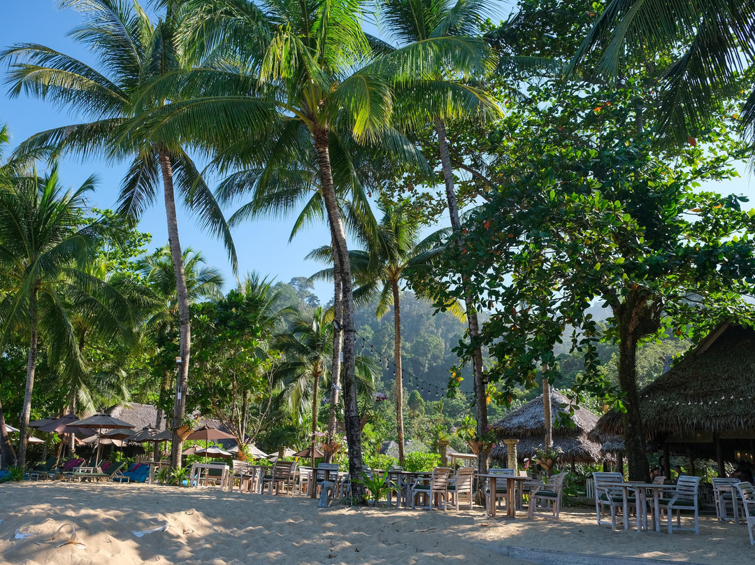 考拉天堂度假村主图