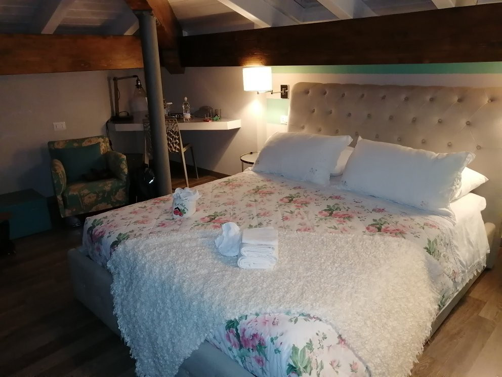 B&B Fico Bologna主图