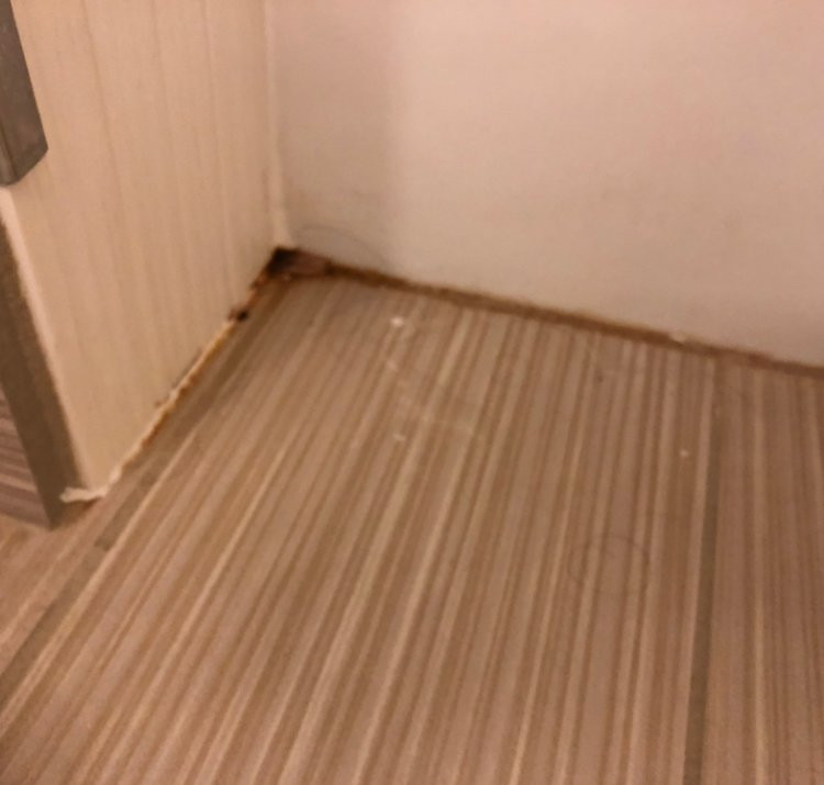 Courtyard by Marriott Carrollton主图