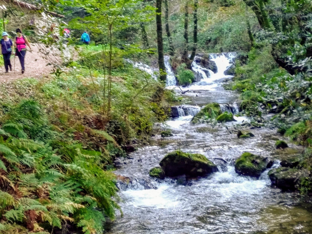 Ruta de la Piedra y del Agua景点图片