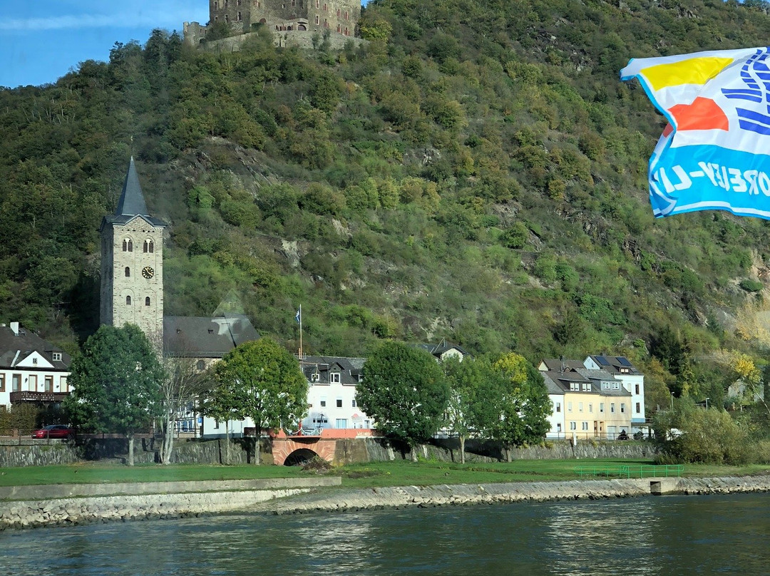 Rhine River Day Cruises-莱茵河畔宾根必去景点