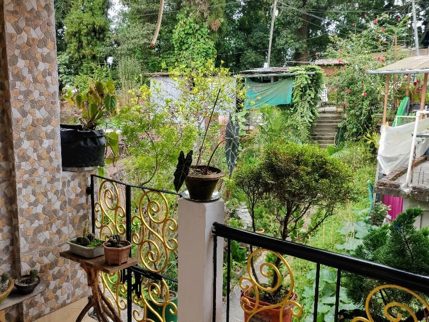 Mansarover Home Stay主图