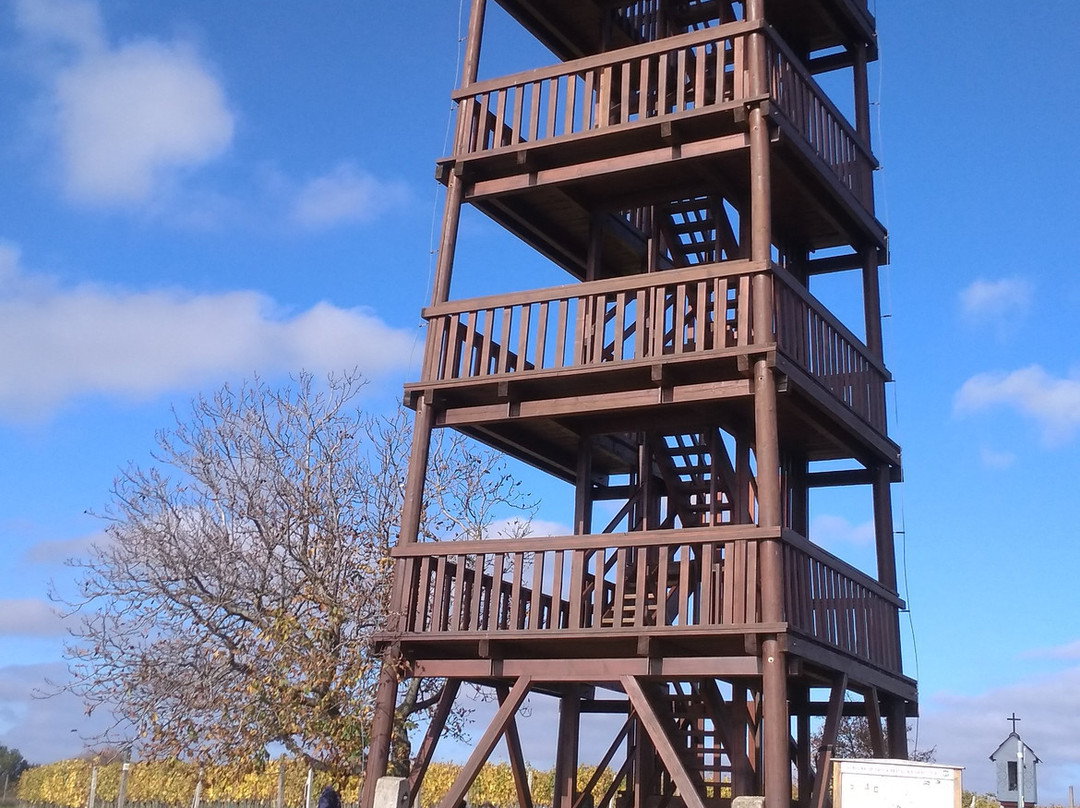 Lookout Mountain Cow-Boretice必去景点