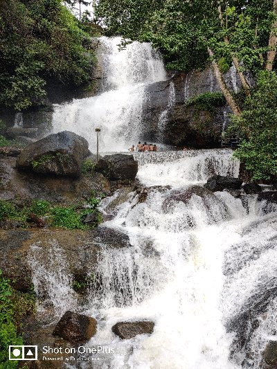 Areekkal Water Falls景点图片