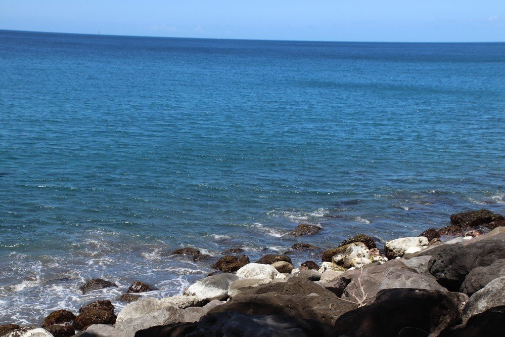 Anse Belleville-Le Precheur必去景点