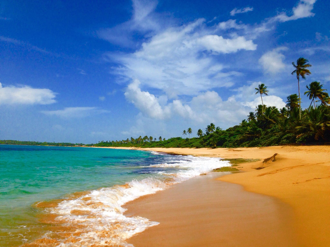 Playa Los Tubos-Manati必去景点