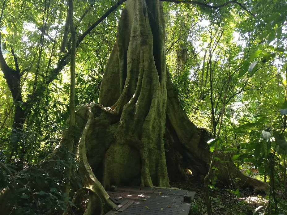 Phu Sang National Park景点图片