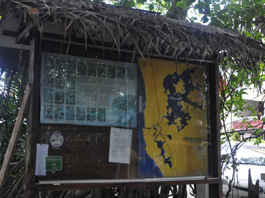 Mangrove Cave River Safari-亚洪加拉必去景点