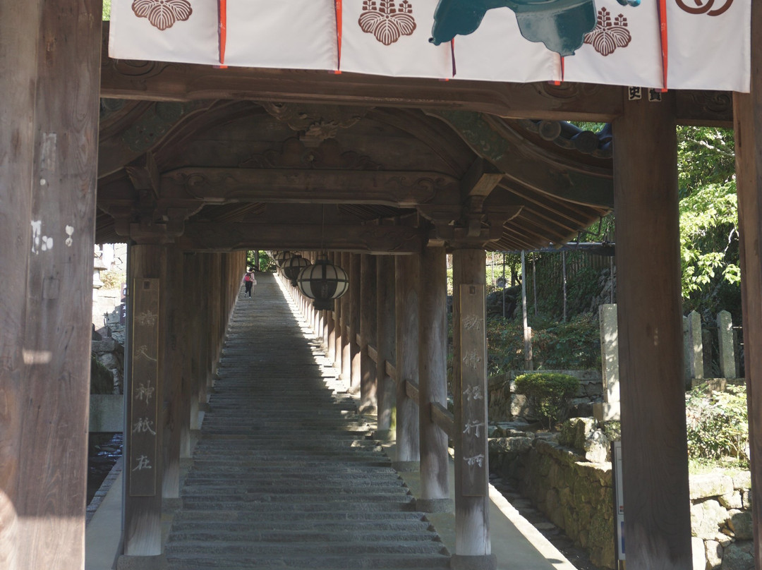 Hasedera Temple景点图片