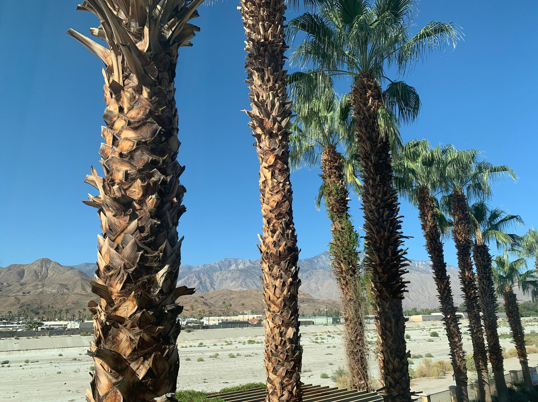 Hampton Inn & Suites Cathedral City主图