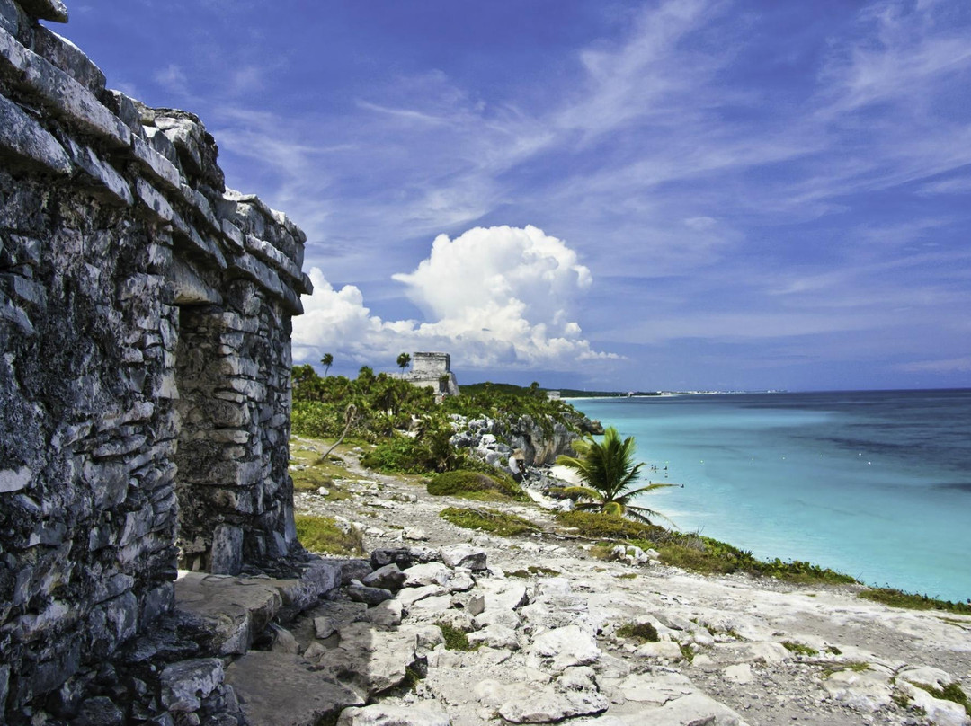 Absolute Adventure Mexico