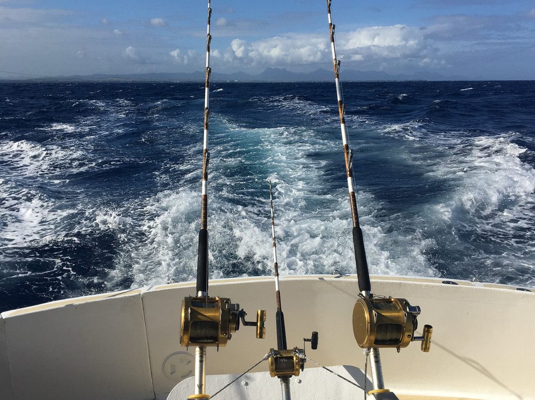 Horizon Fishing-大湾必去景点