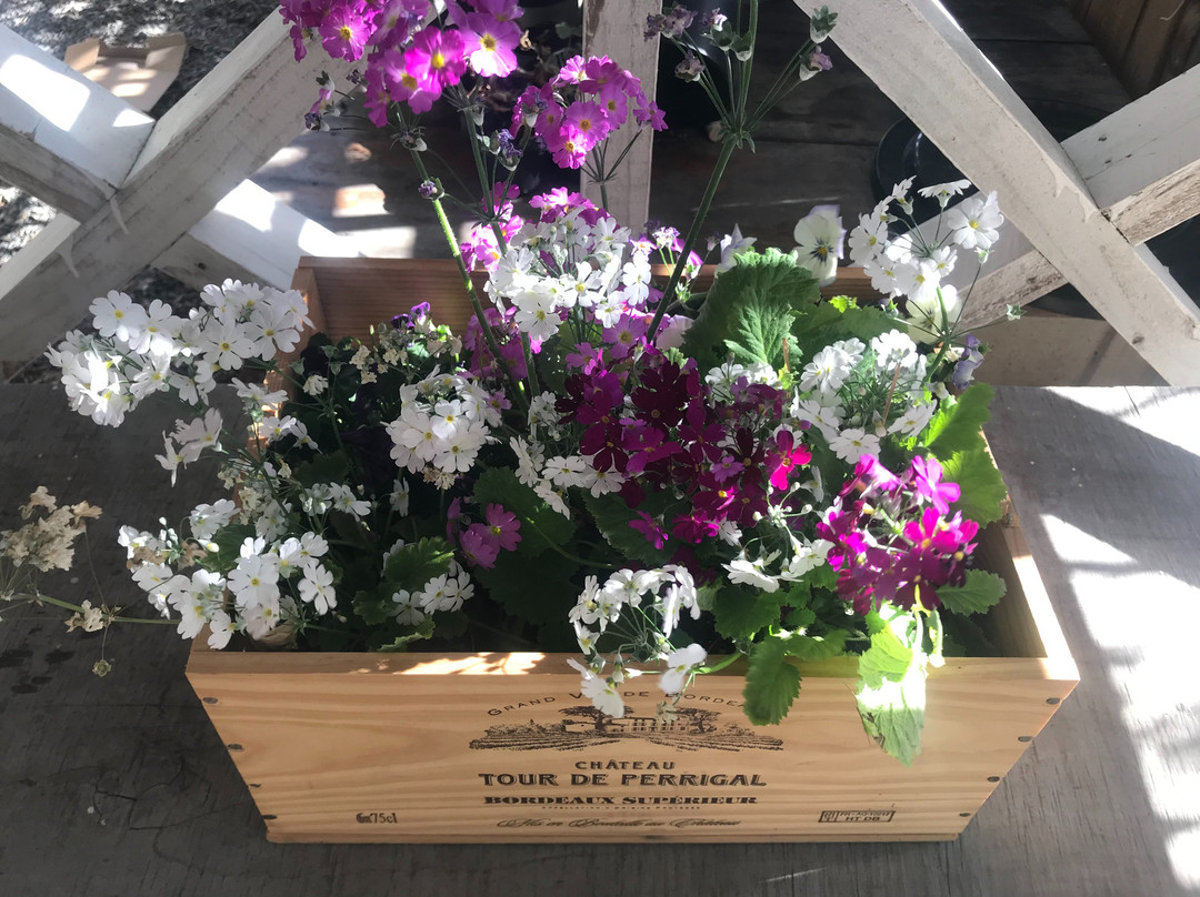 Prodigal Daughter Gourmet Lodge主图