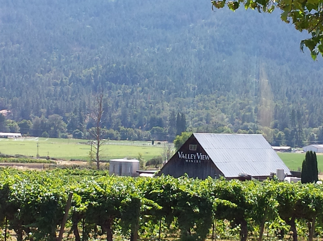 Valley View Winery景点图片