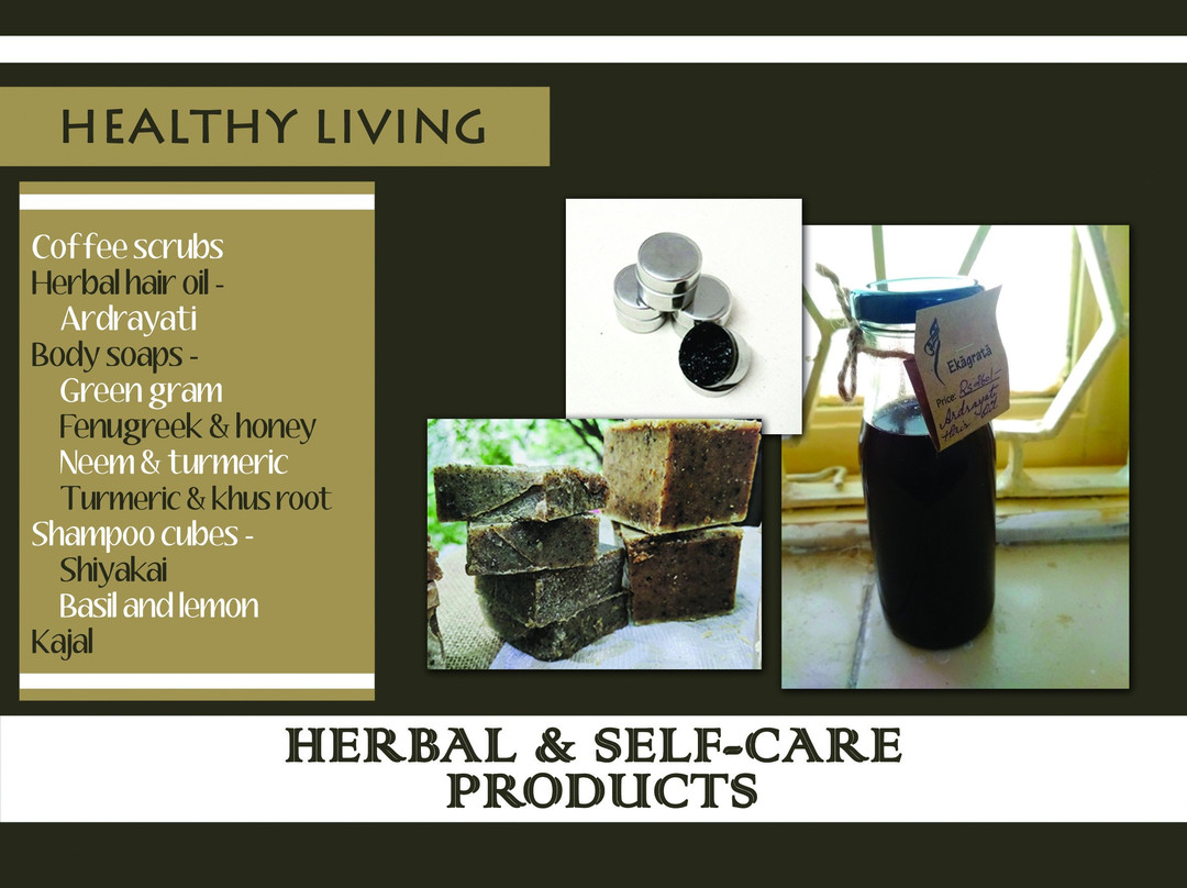 Ekagrata-金奈（马德拉斯）必去景点