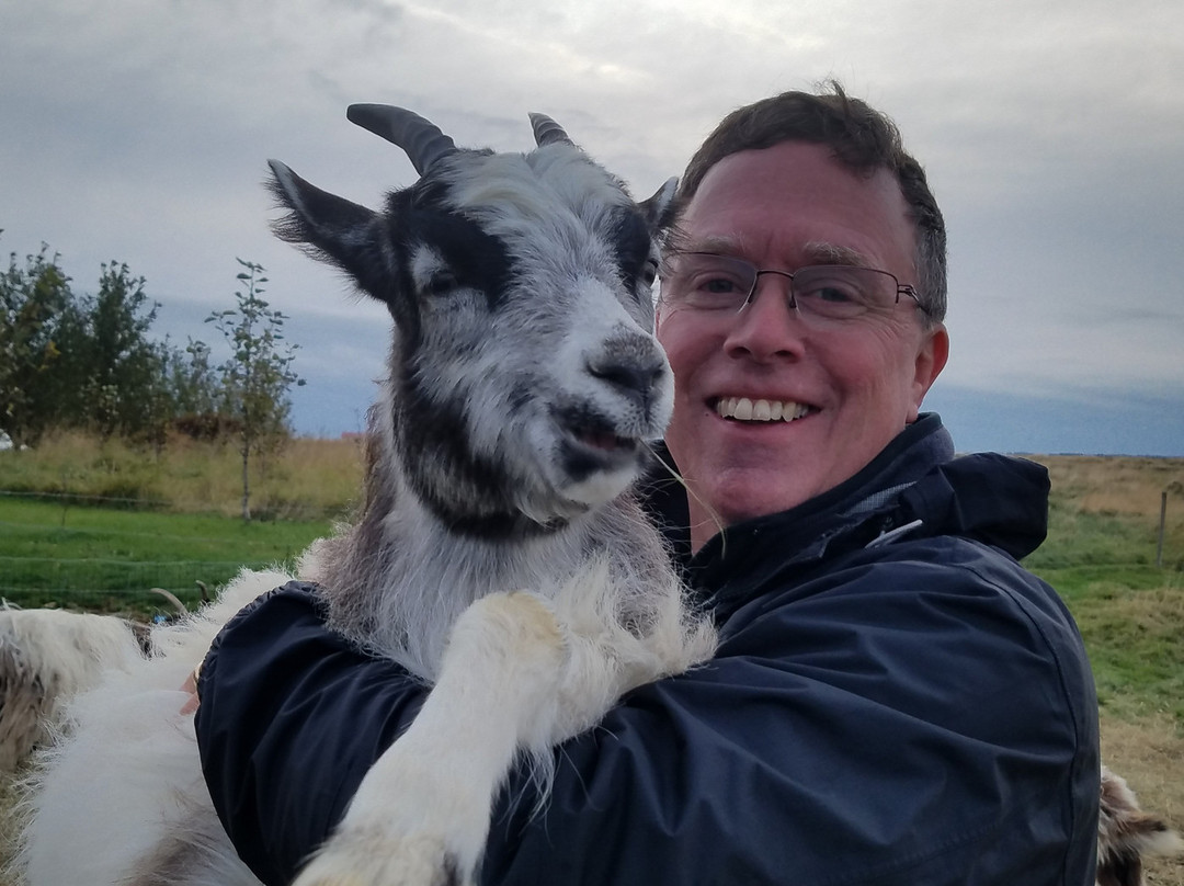 Skalatjorn Guesthouse主图