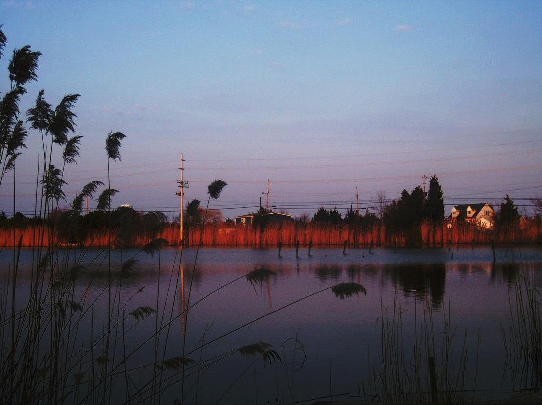 Little Egg Harbor旅游景点-Jacques Cousteau National Estuarine Research Reserve