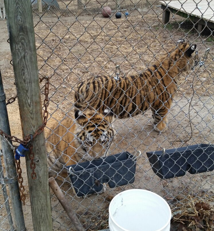 Centralia旅游景点-D&D Animal Sanctuary