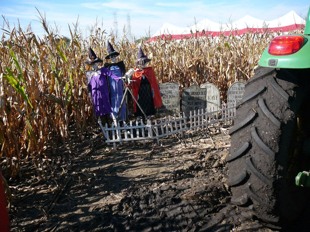Didier Farms-Lincolnshire必去景点